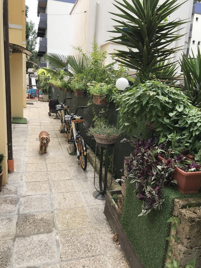 格拉齐亚别墅酒店 里米尼 外观 照片